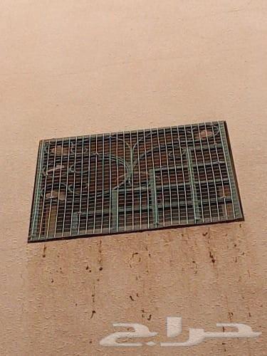 Pigeon repellent installation in Riyadh, pigeon control64381301261187111