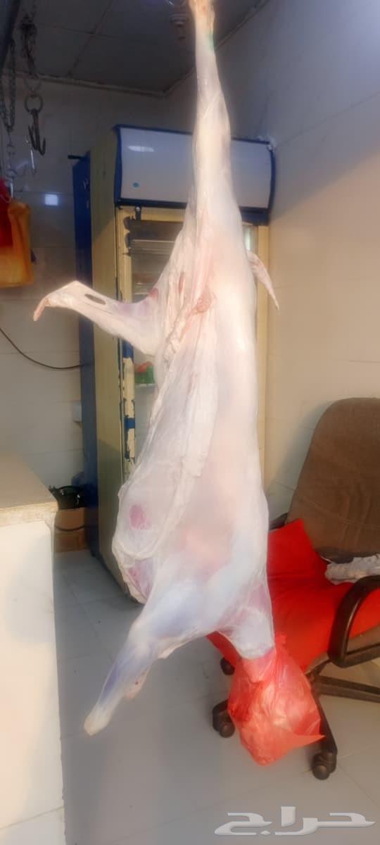 ملحمه نور البلد 2 نجران سوق الجنابي64522486160771110