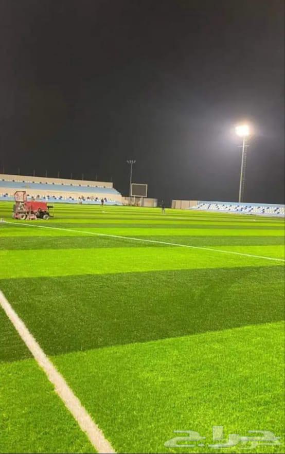 Artificial Grass64522893385858112