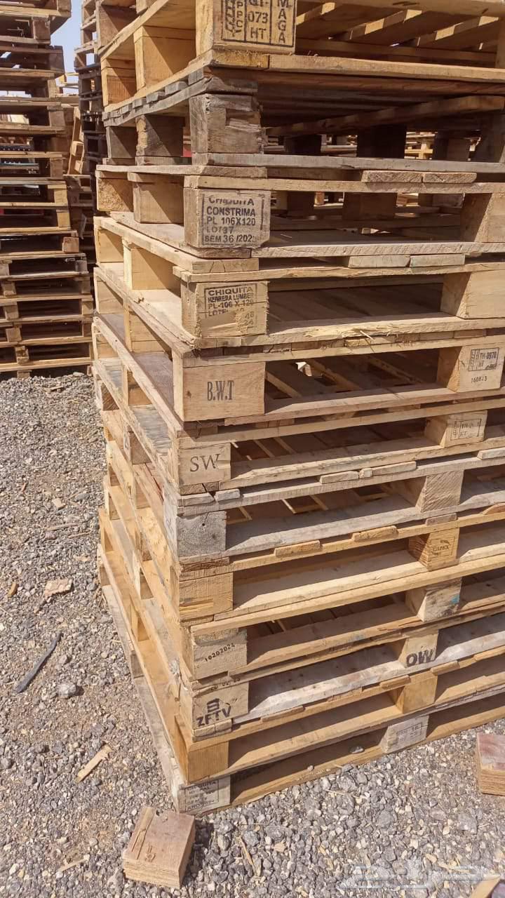 بنشتري جميع انواع الطبالي الخشب والبلاستيك جديد او استكراب64521906799617112