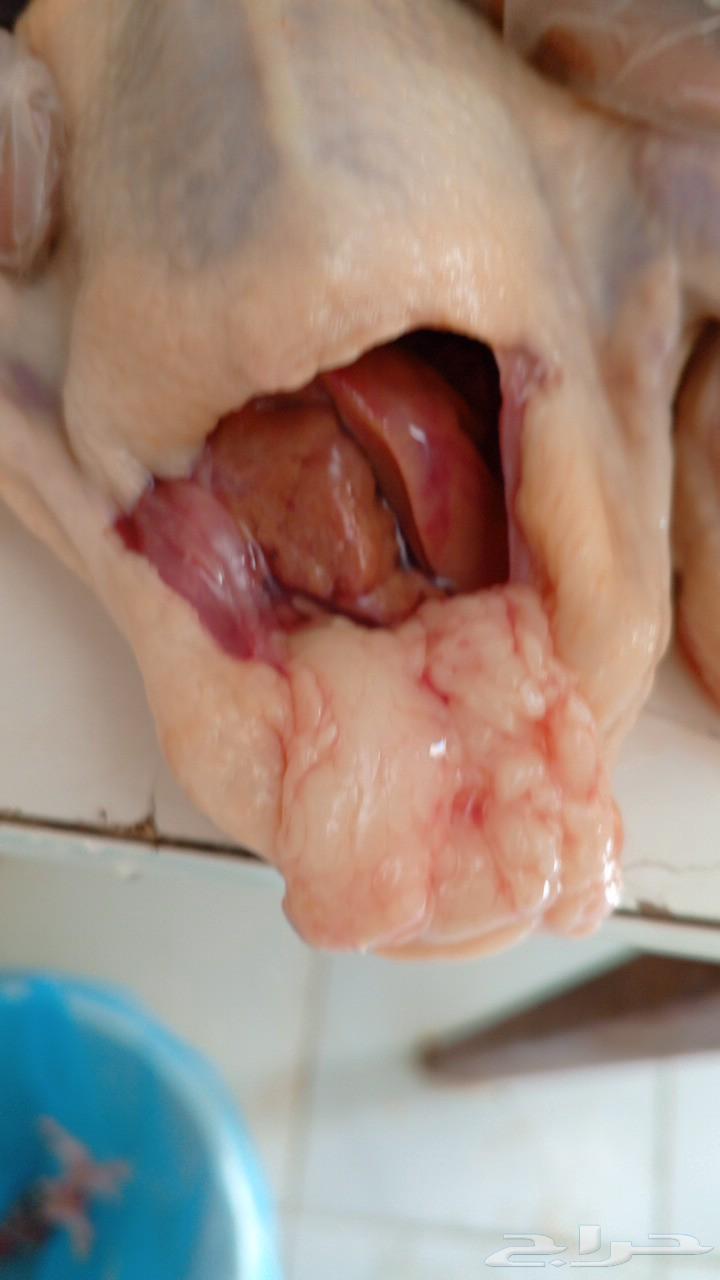 For sale meat chickens, ducks, well-fed and clean64521283079171111