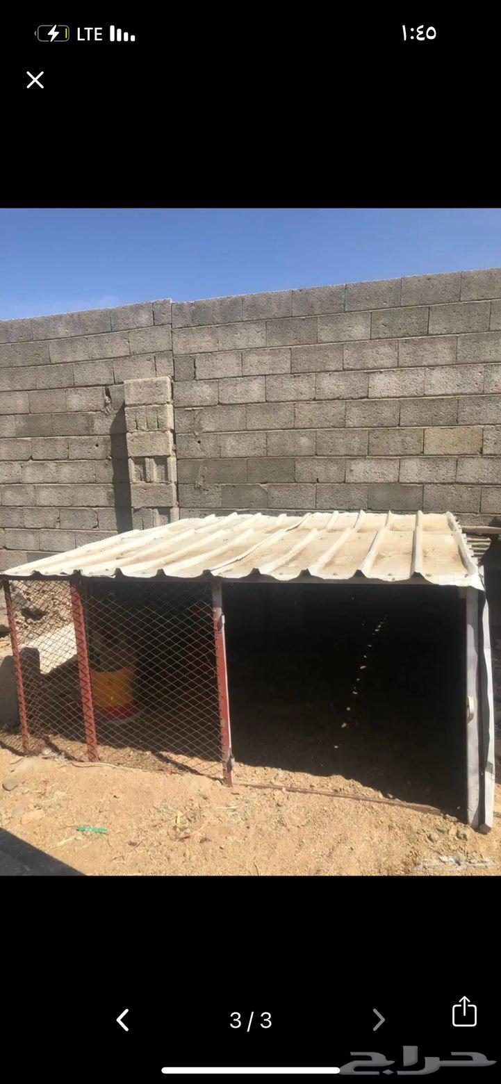 Clean net for sale64522216100611111