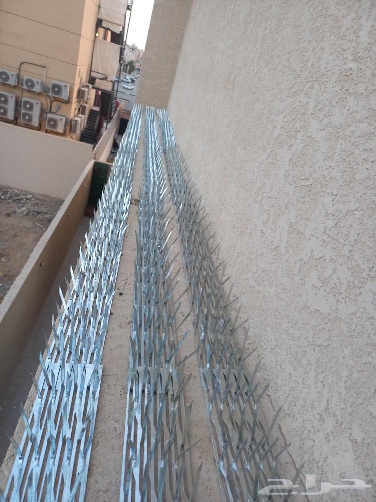 Pigeon repellent installation in Riyadh, pigeon control64381301261187112