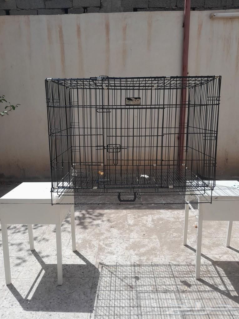 عرض خاص خاص 50 ريال فقط64521168932353111