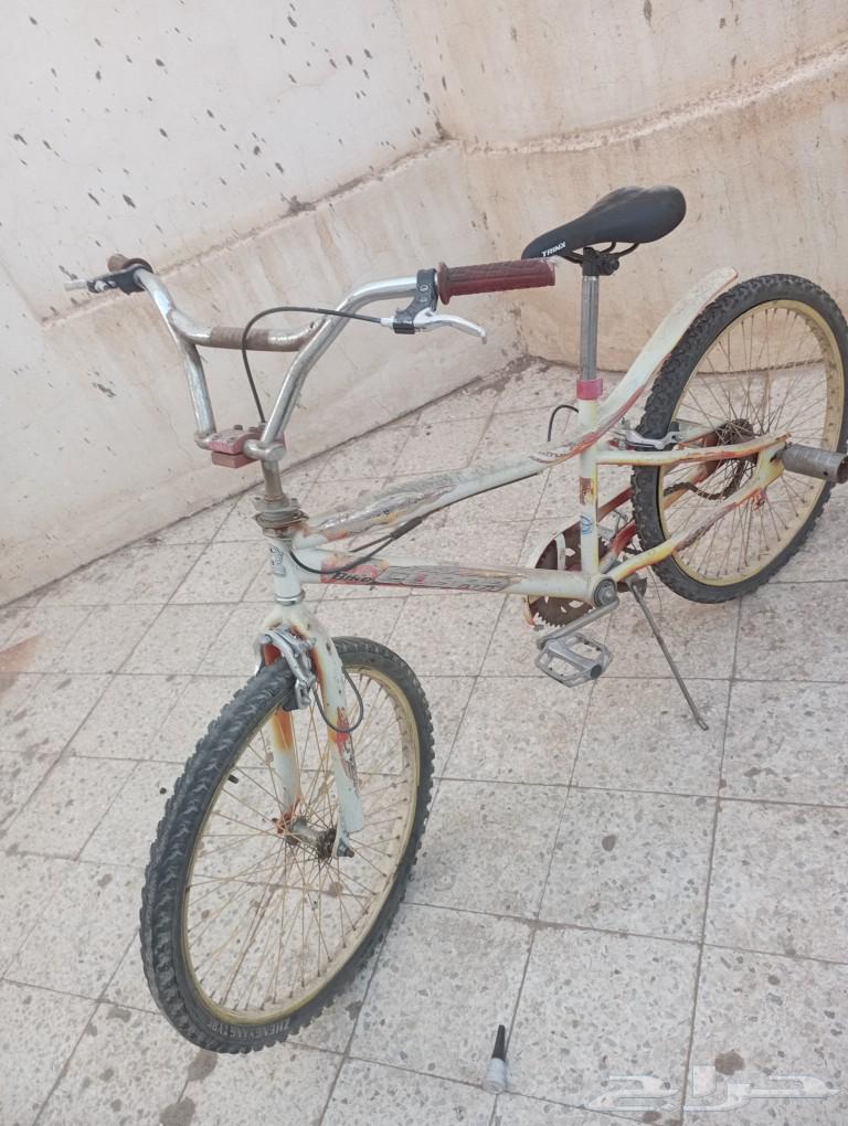 اسكوتر كهربائي و دراجة هوائيةكوبرا64523894389891113