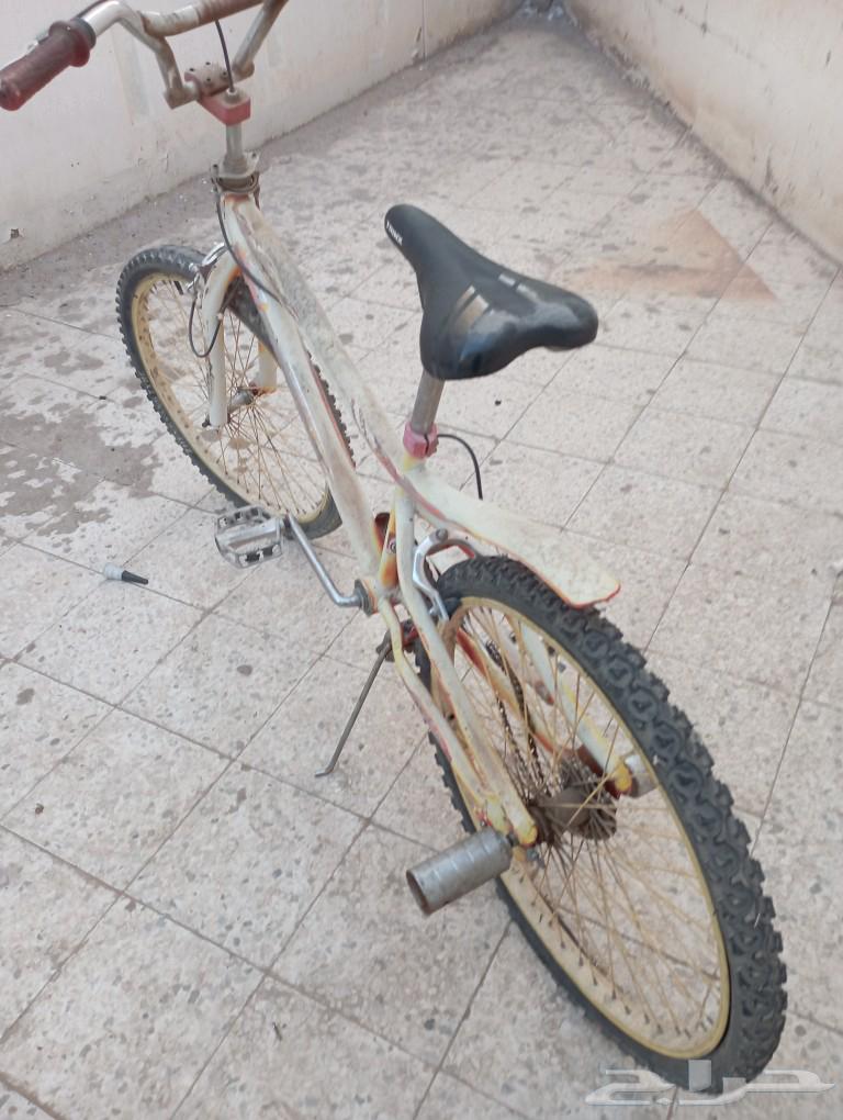 اسكوتر كهربائي و دراجة هوائيةكوبرا64523894389891114