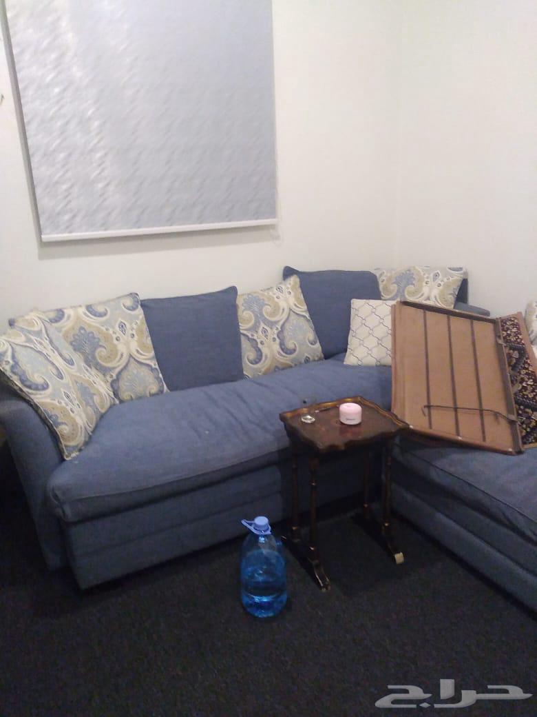 كنب ريش االنعام لللبيغ مستخدم نظيف64525926024705111