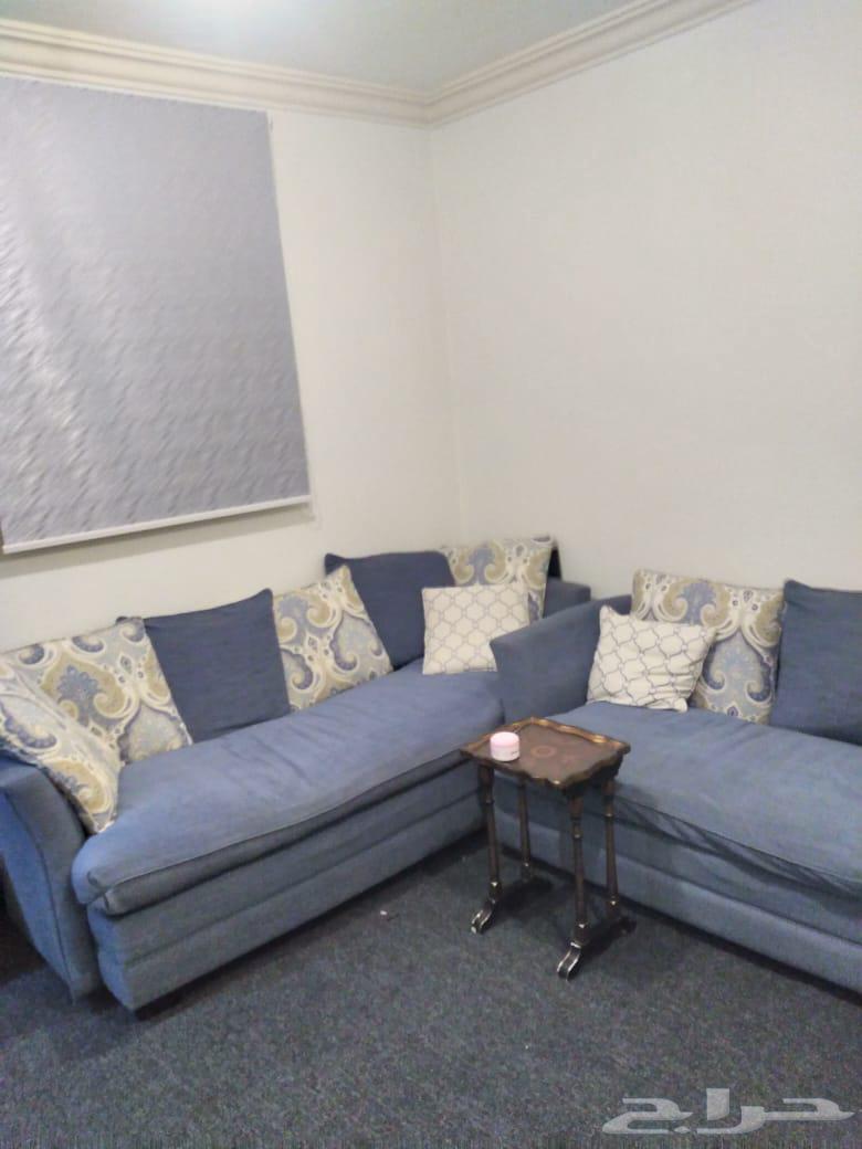 كنب ريش االنعام لللبيغ مستخدم نظيف64525926024705112