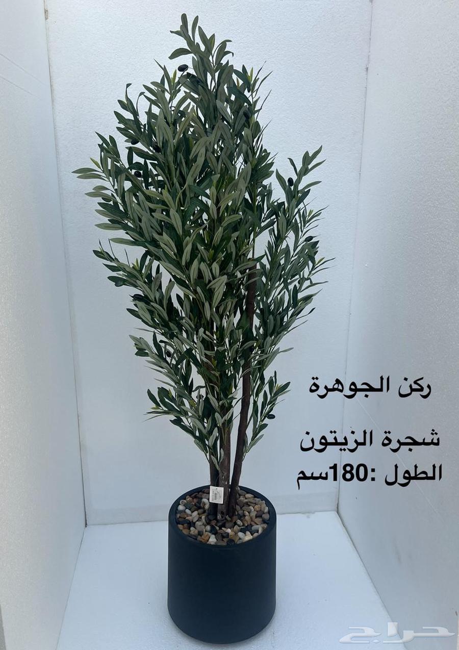 Artificial Trees and Fiber Pots64522201750913114