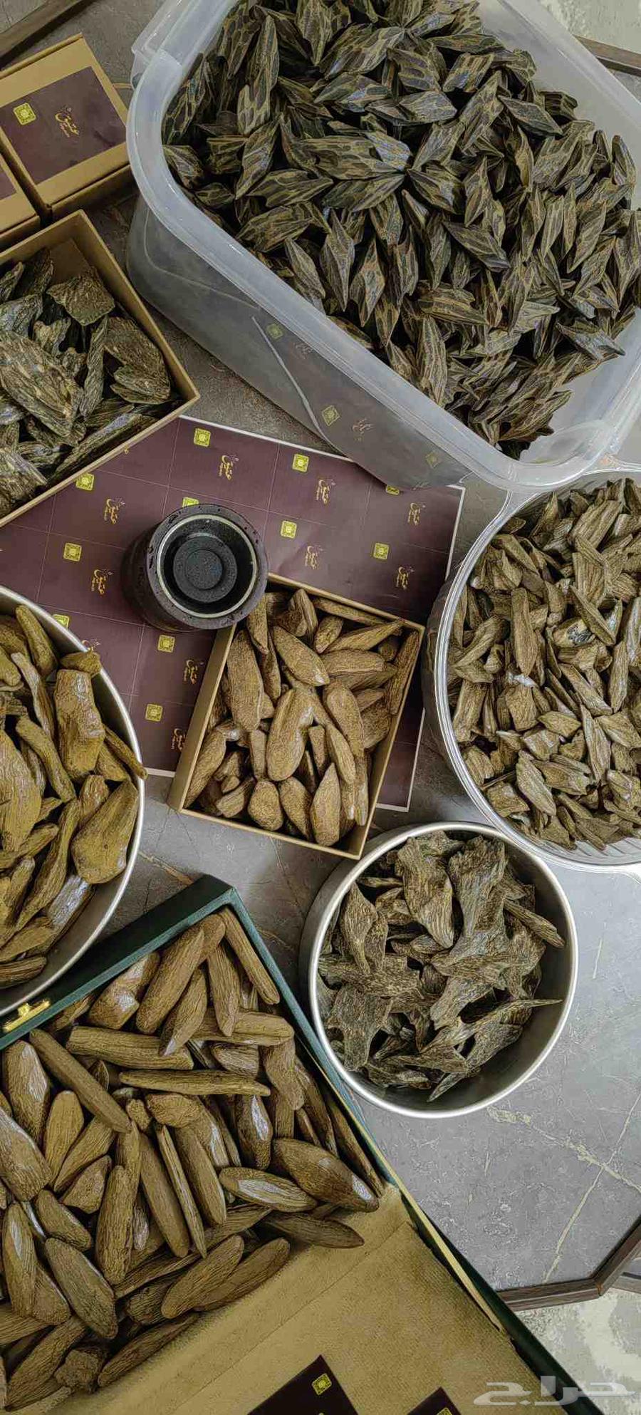 عروض اليوم الوطني على العود و البخور64520783485954110