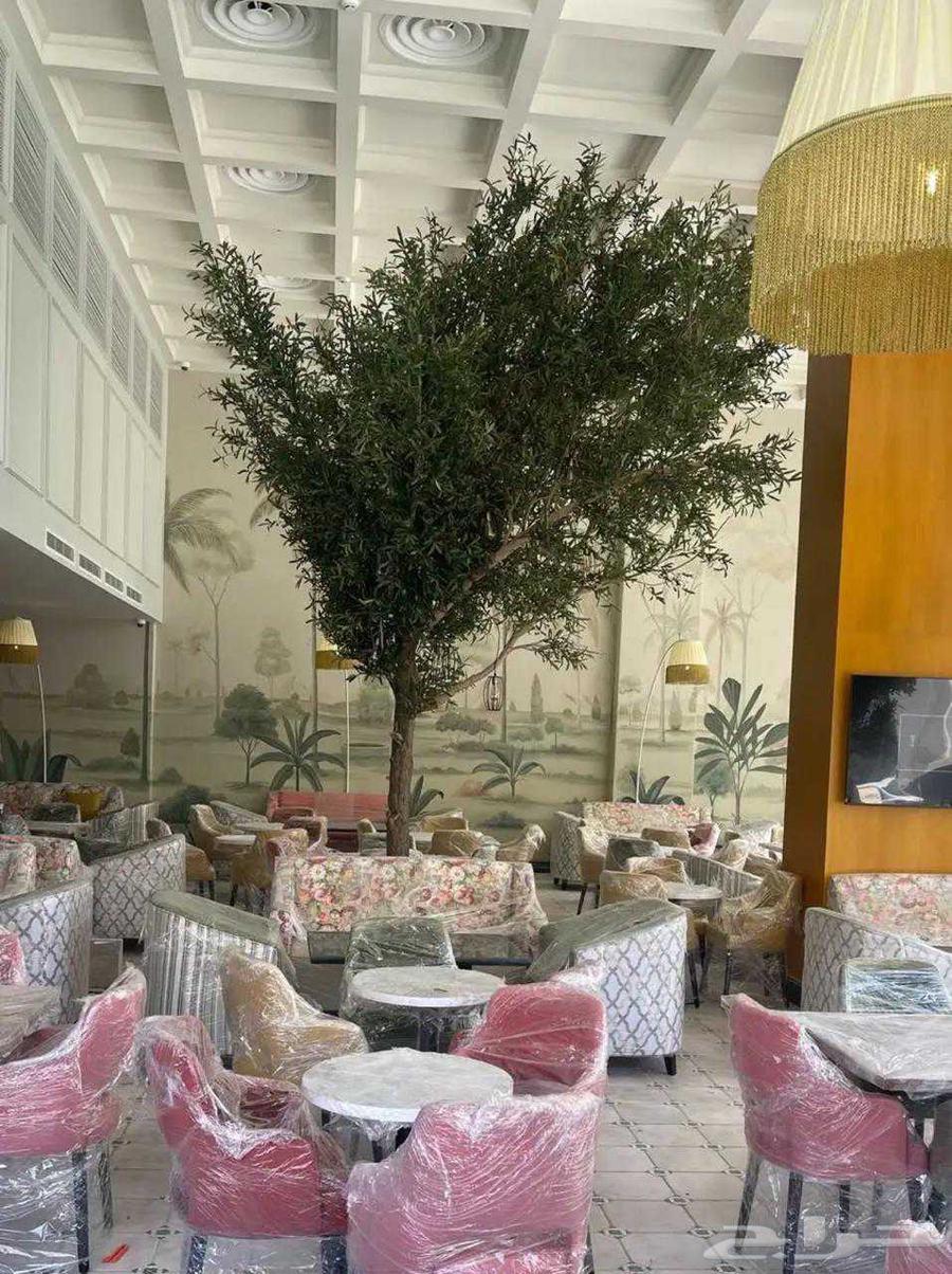 Artificial Trees and Fiber Pots64522201750913111