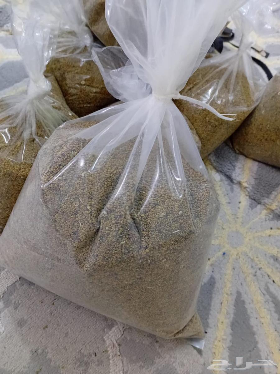 ذرو برسيم صبخاوي64520812004098110