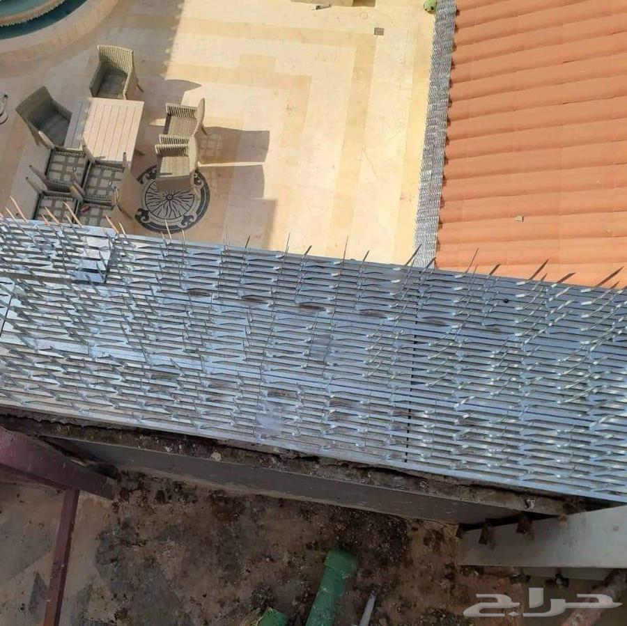 Pigeon Repeller in Jeddah, Installation and Sale of Pigeon Spikes and Nets64237605221249110