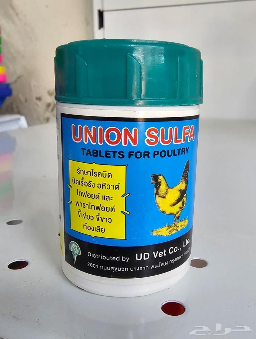 Pills for Canker, Respiratory Issues, and Salmonella64525150645377110