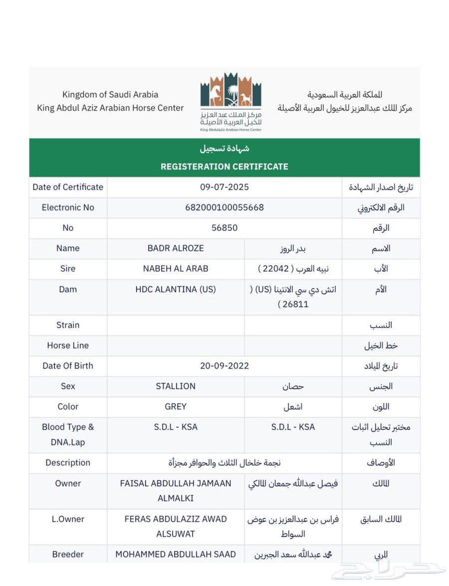 حصان عربي واهو للبيع64521125959553113