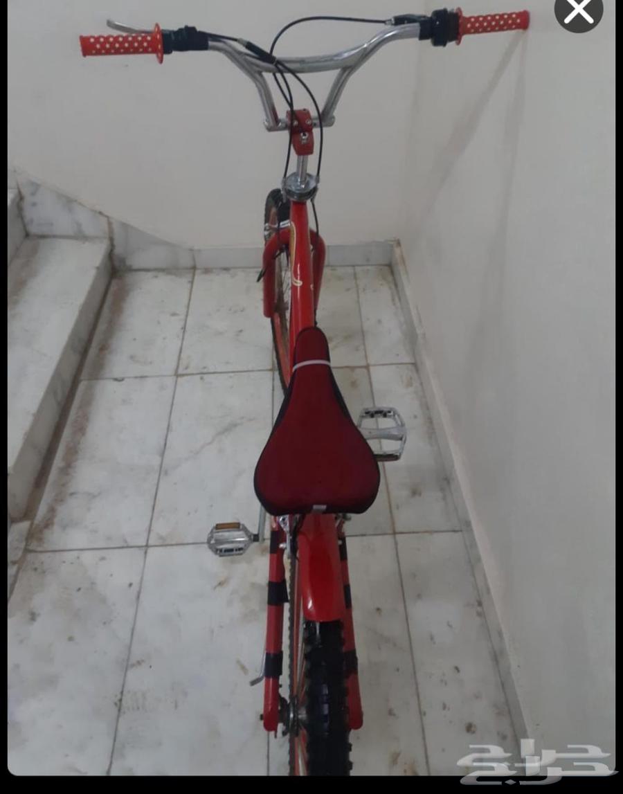 سيكل كوبرا مقاس 24 مافي شي كل شي ممتاز السعر 400 قابل للتفاو64528666708737110