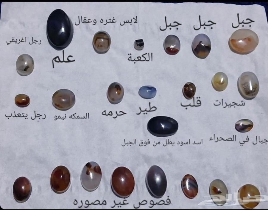 فصوص للبيع64432564441091110