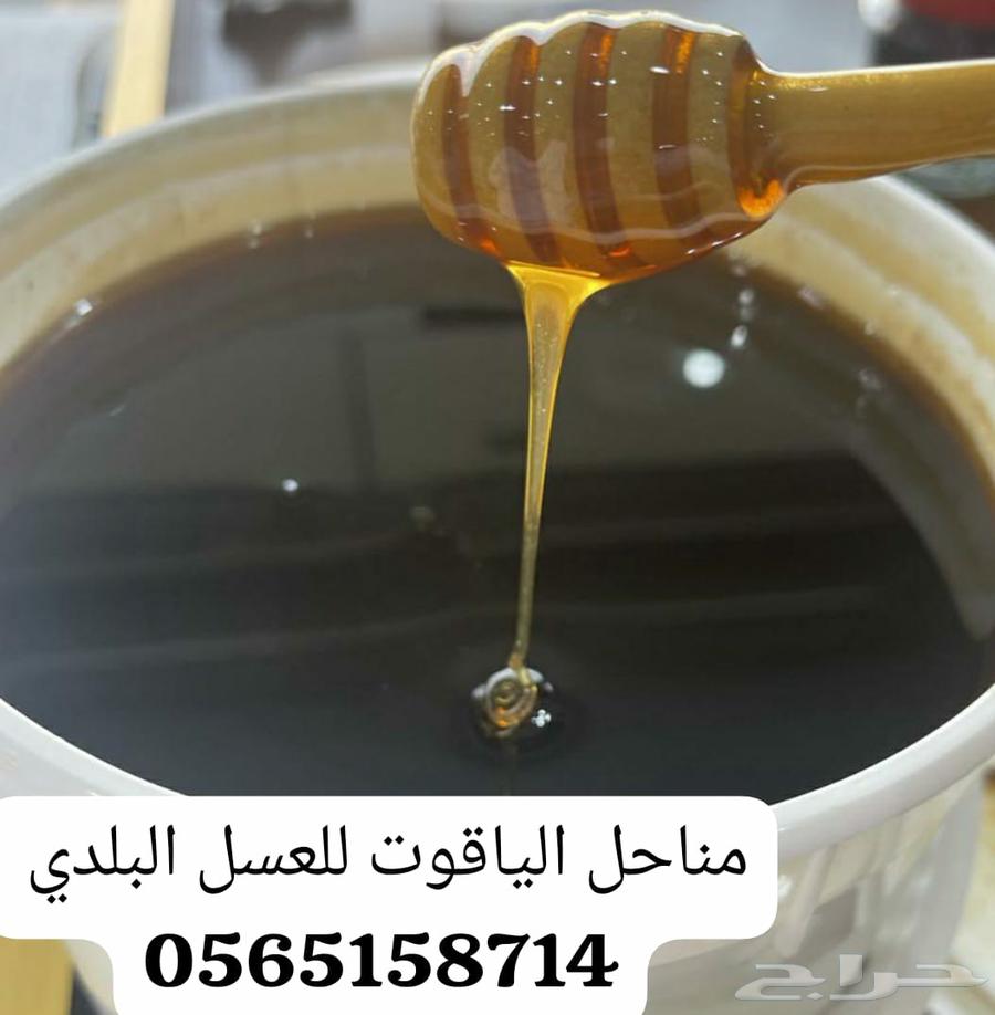 عروض اليوم الوطني64527670075777112