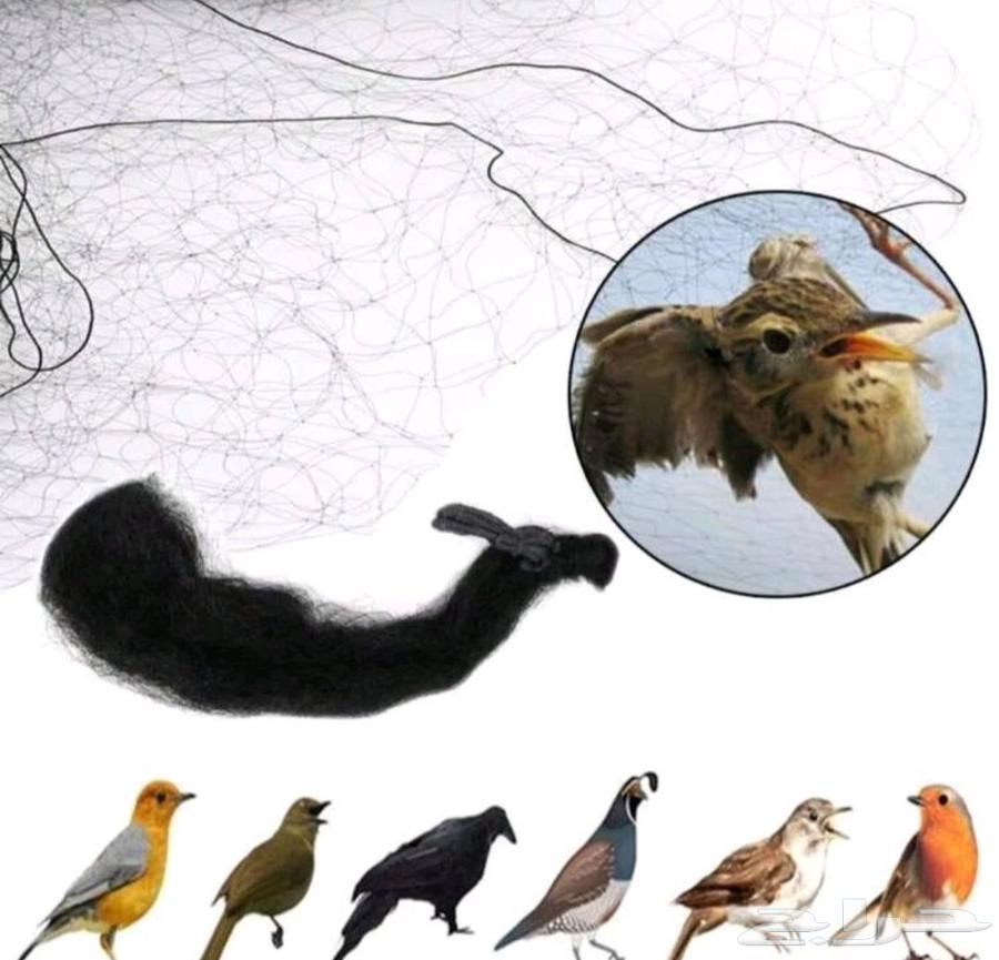 Bird hunting net64529576722946110