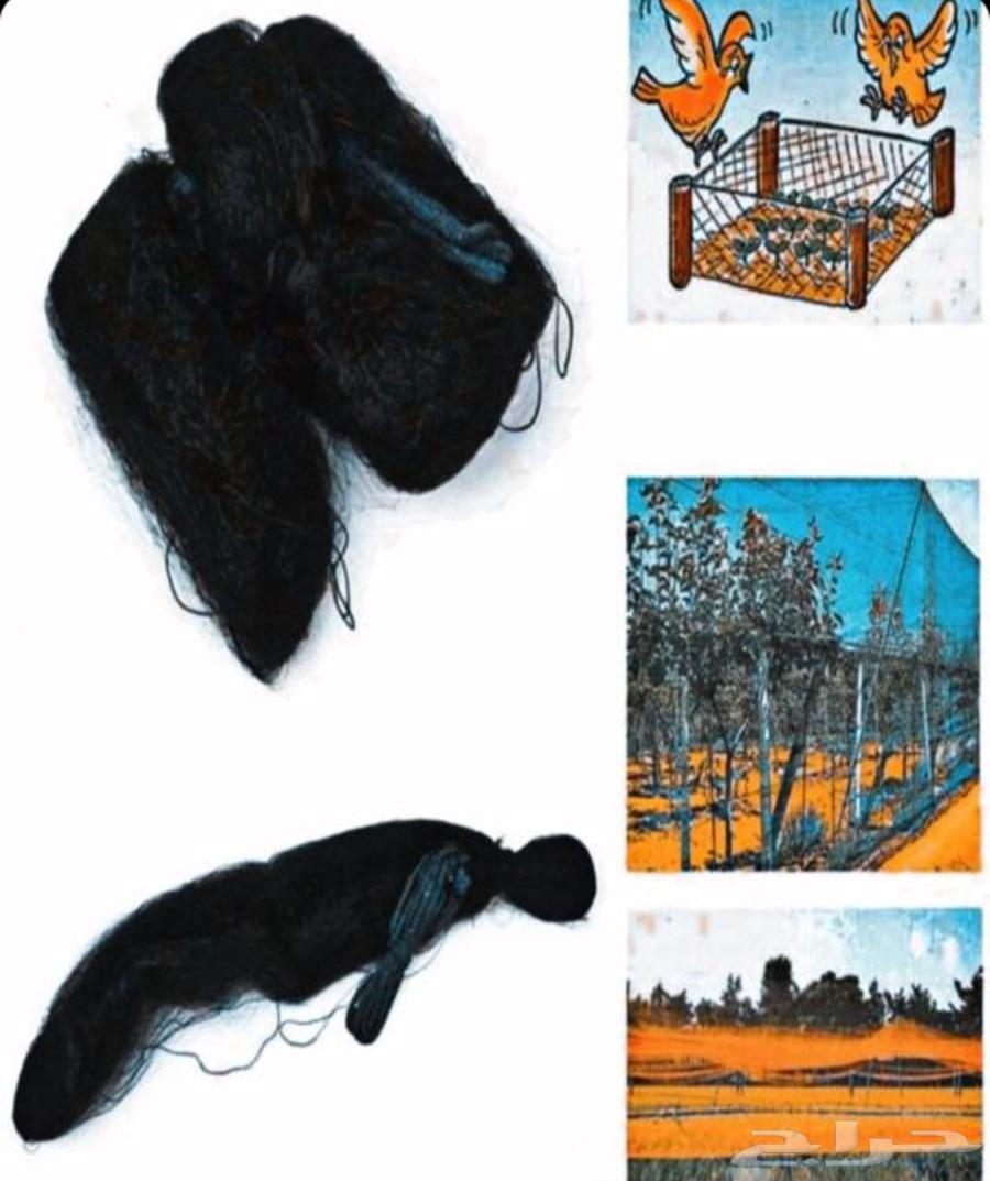 Bird hunting net64529576722946111