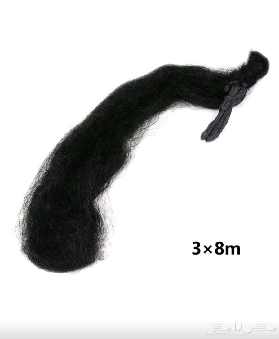 Bird hunting net64529576722946114