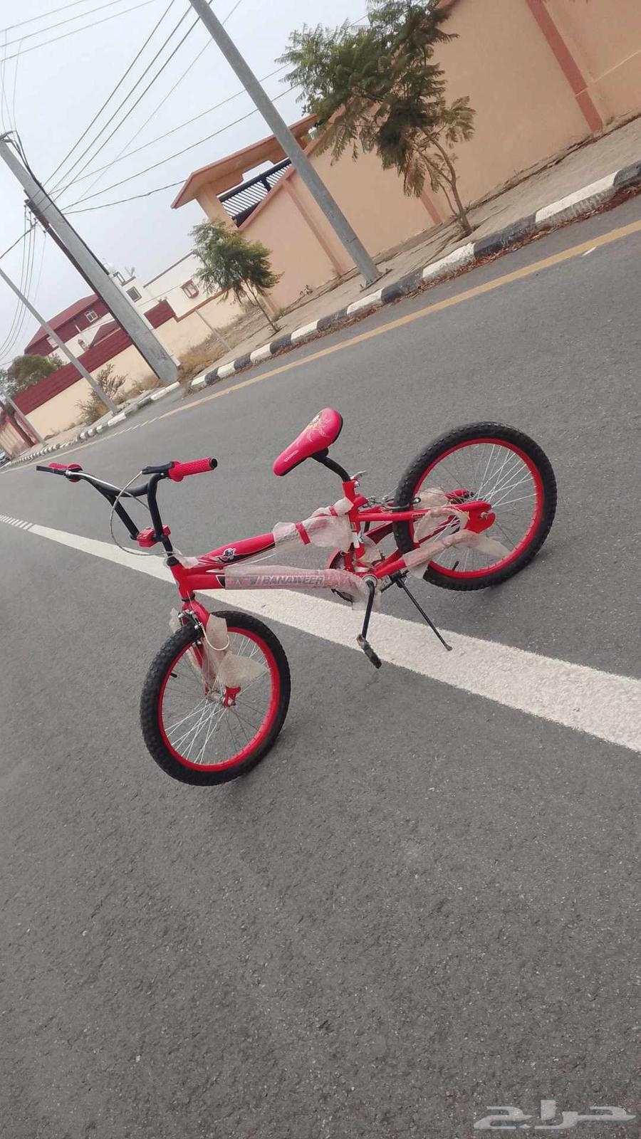 Cyclone Cobra64533662734083110