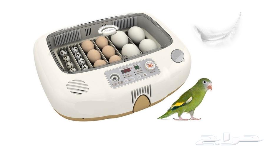 فقاسات اركوم Rcom الكوريه تابي تمارا ضمان وتوصيل مجاني64530247899267112