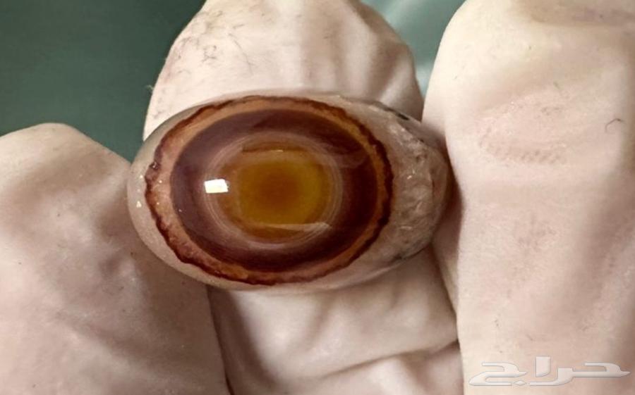 خاتم عقيق سليماني هندي نوادر64527164579713113