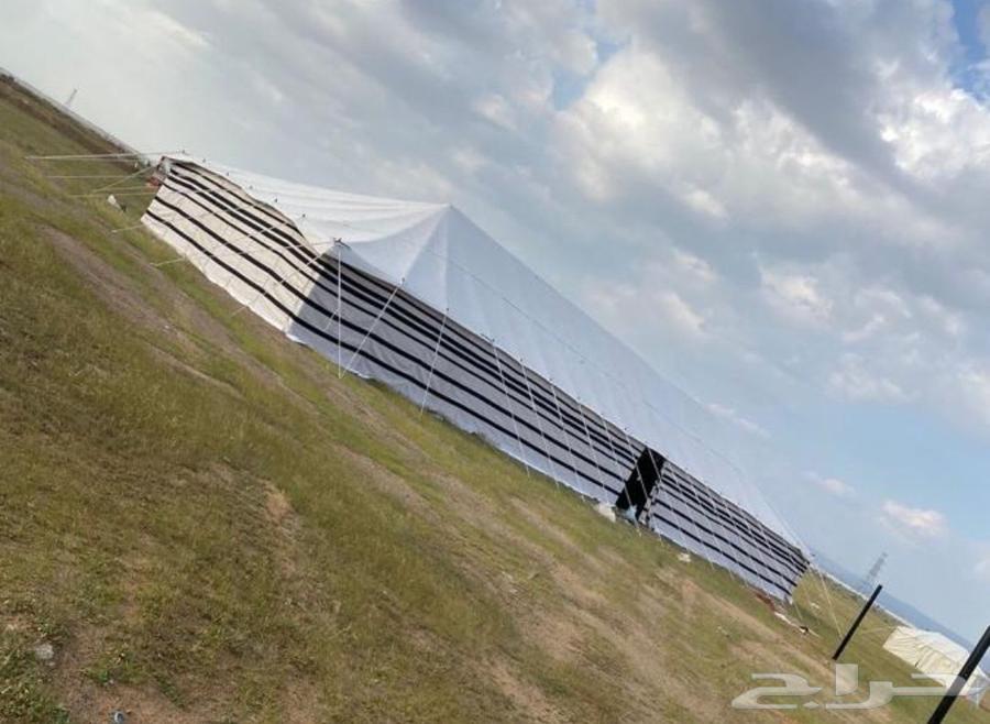 Tents of all sizes64528083064066111