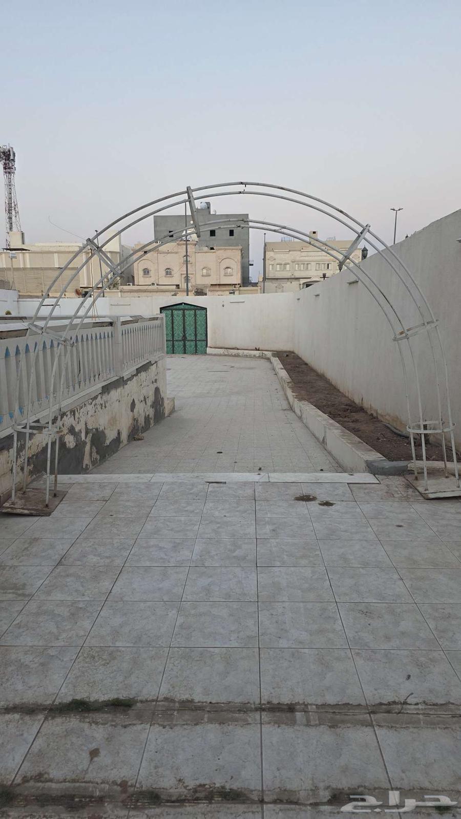 Tree Base64533818084867111