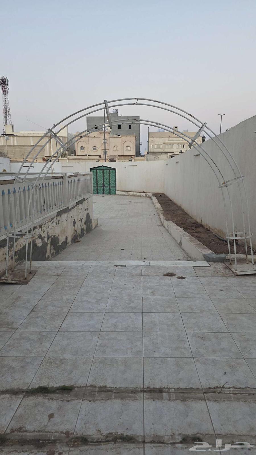 Tree Base64533818084867110