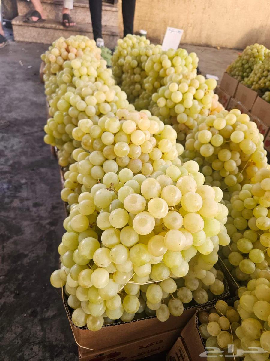 رمان فاخر 9كيلو 150ريال. عنب فاخر8كيلو 150ريال. برشومي64527544755585111