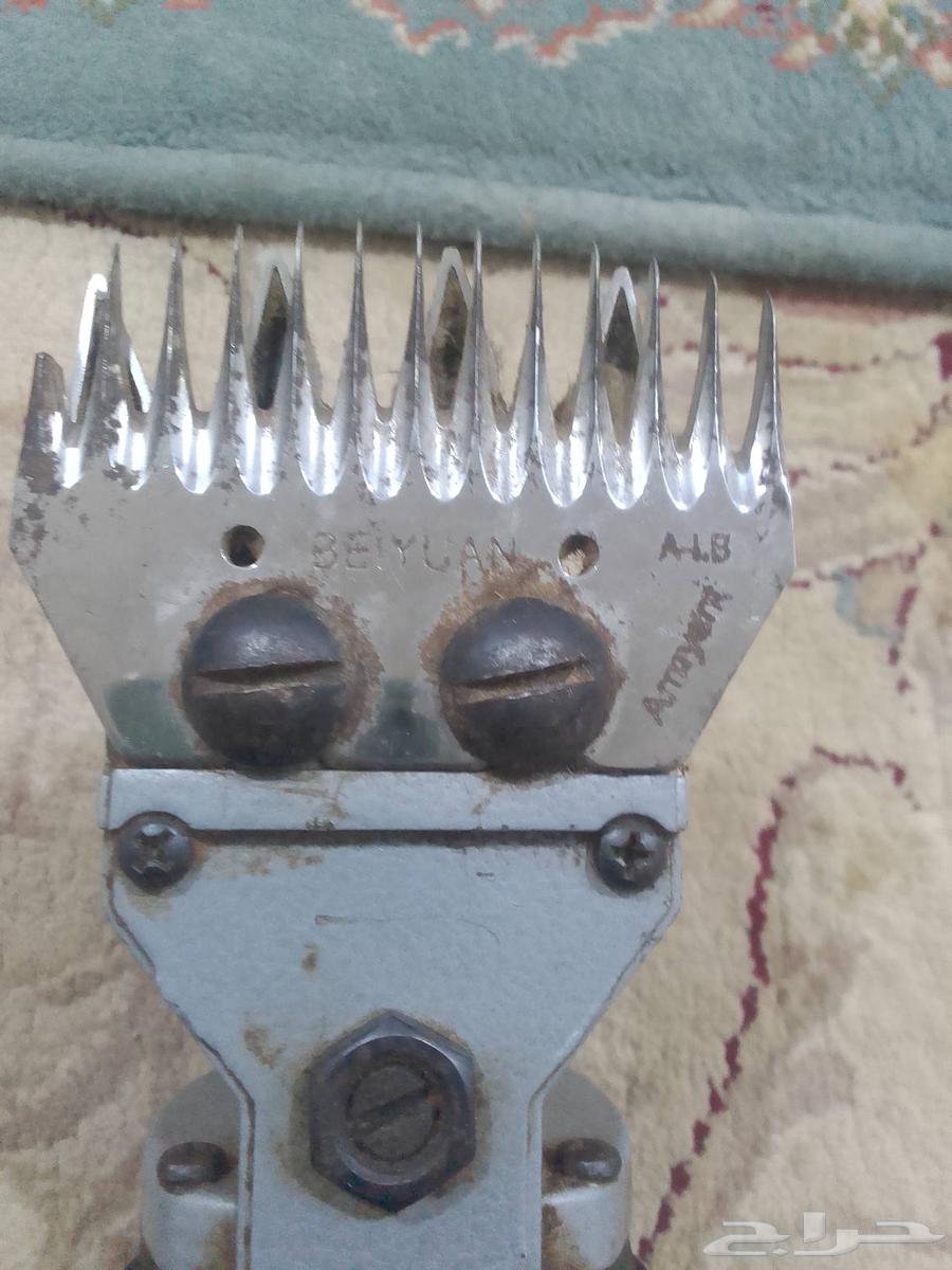 Used sheep shearing scissors, fully functional, almost new64527784616323112