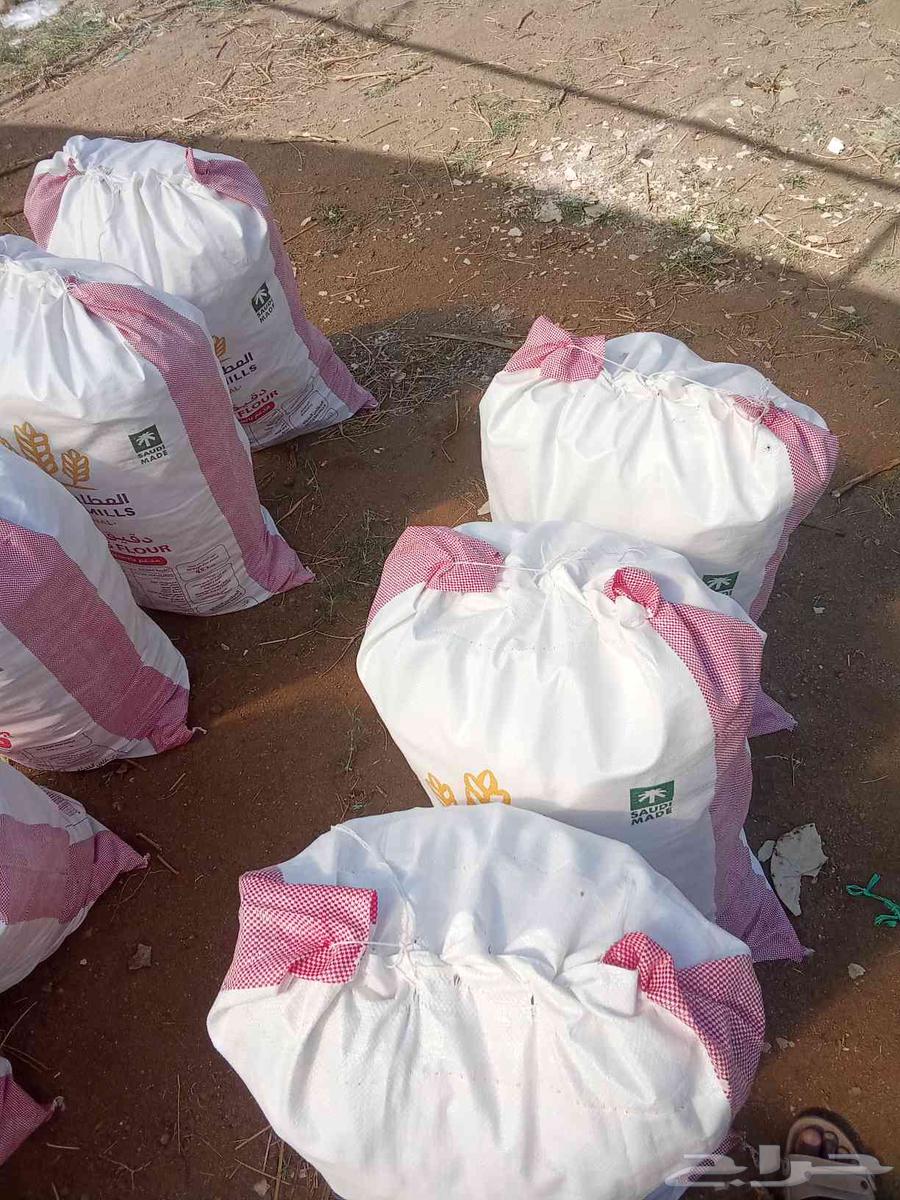 خبز للبيع خبز نظيف مكسر جاهز عبوه فول السير 23 ريال64529050052737111