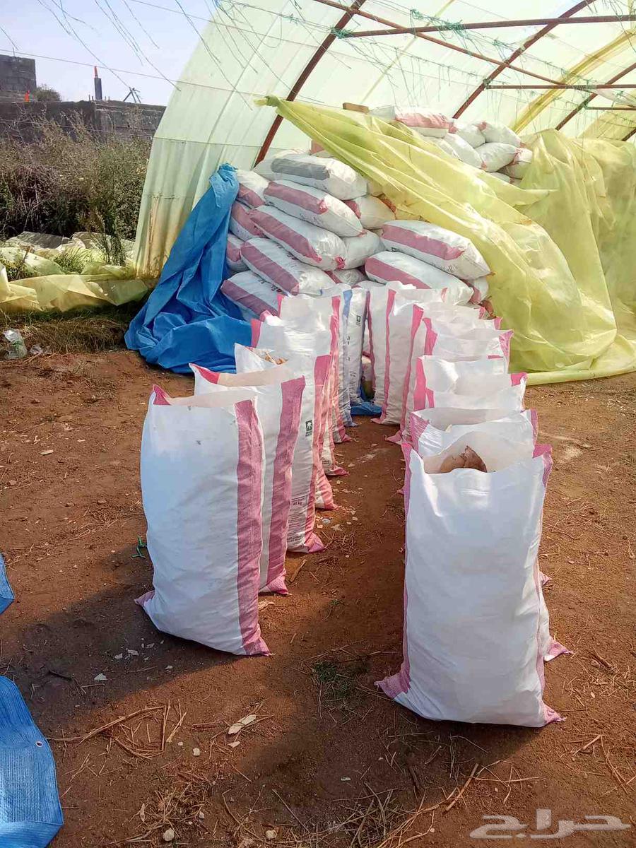 خبز للبيع خبز نظيف مكسر جاهز عبوه فول السير 23 ريال64529050052737110