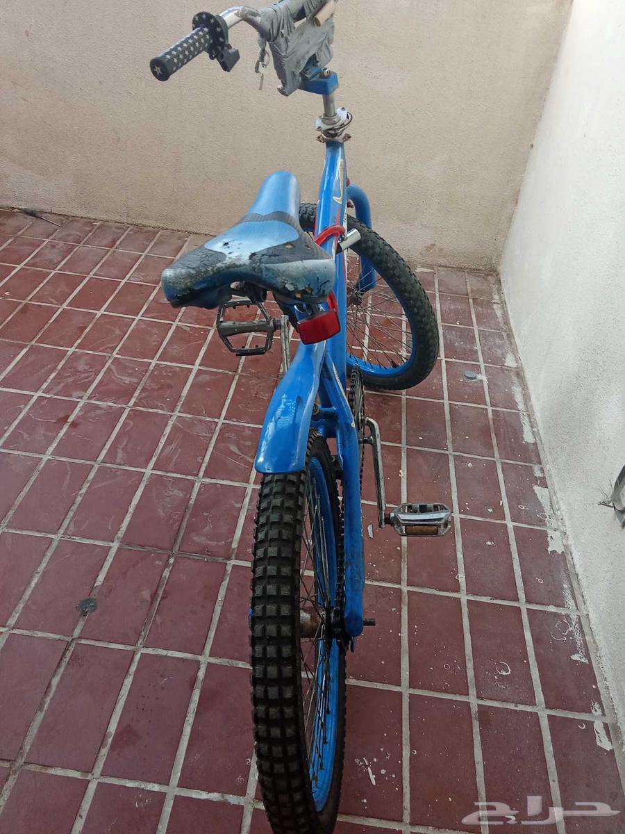 كوبرا مقاس 20 السعر 300 يجي معه مسكت نجوم و قفول64532170344451111