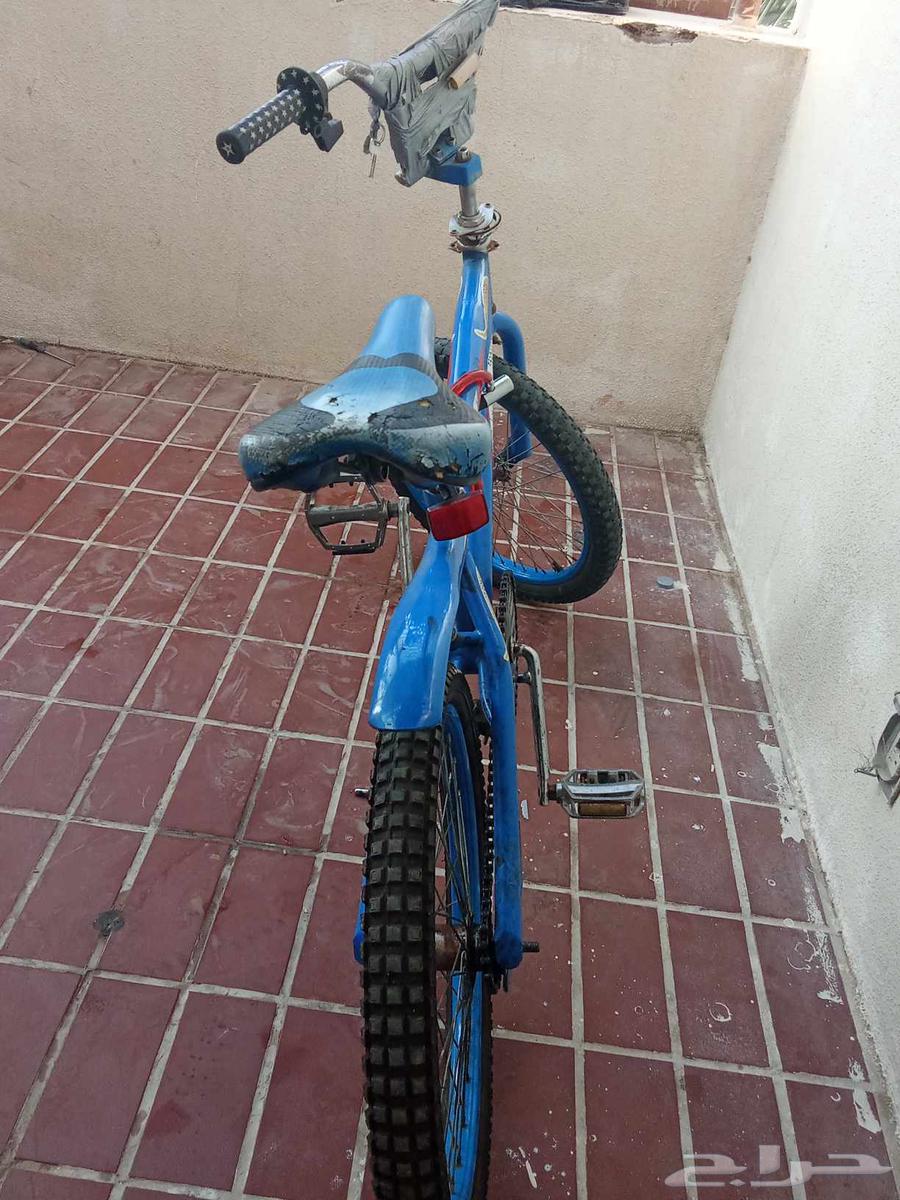 كوبرا مقاس 20 السعر 300 يجي معه مسكت نجوم و قفول64532170344451110