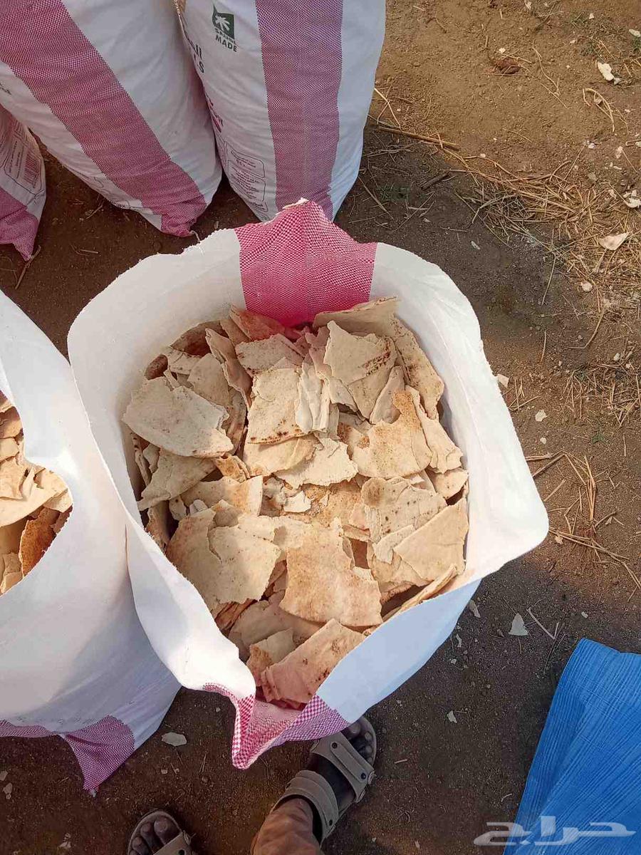 خبز للبيع خبز نظيف مكسر جاهز عبوه فول السير 23 ريال64529050052737112