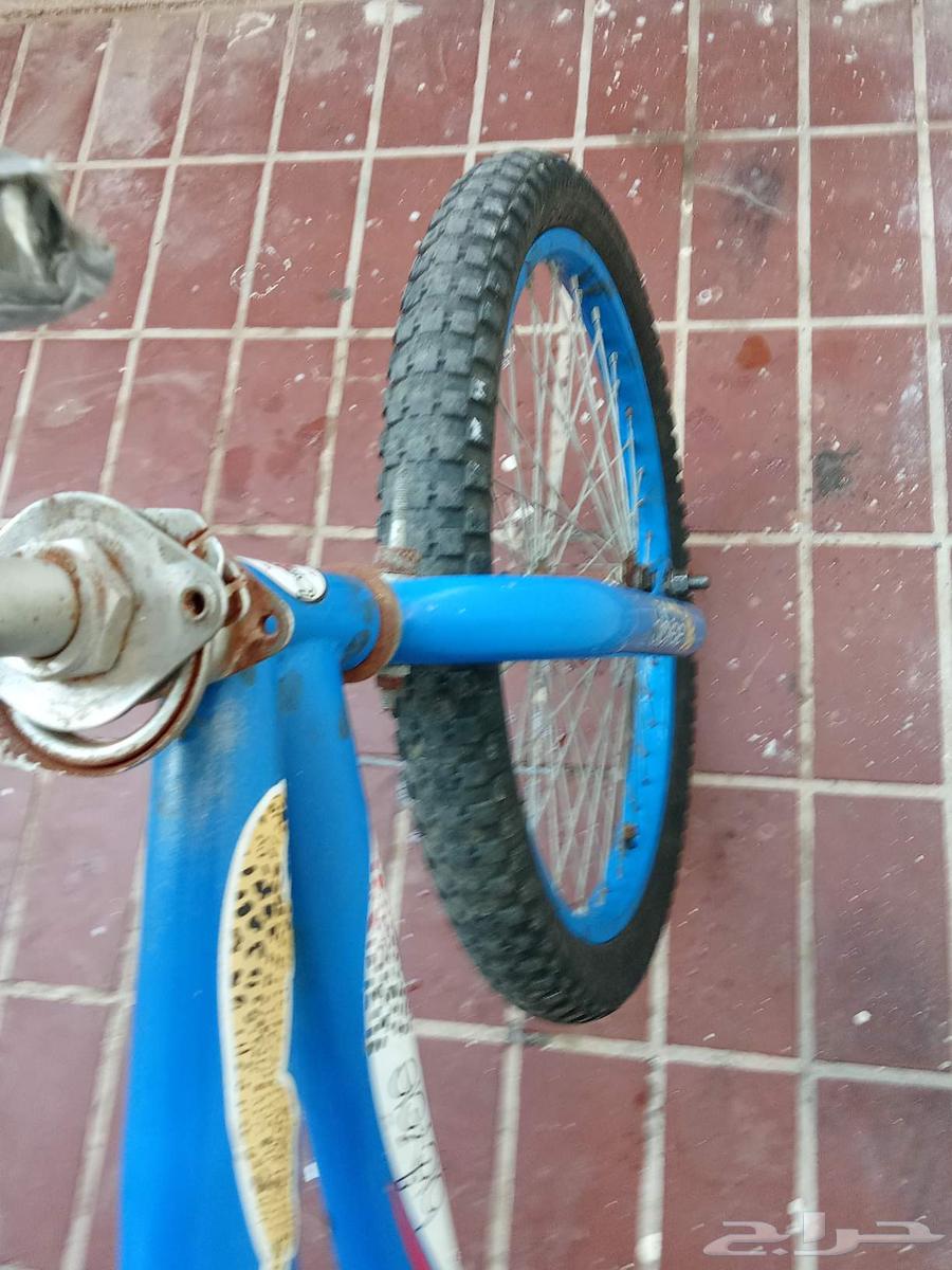 كوبرا مقاس 20 السعر 300 يجي معه مسكت نجوم و قفول64532170344451114