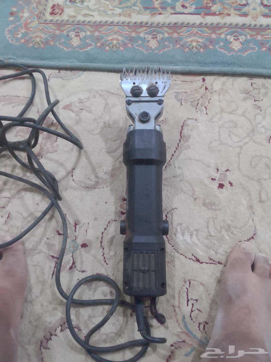 Used sheep shearing scissors, fully functional, almost new64527784616323111