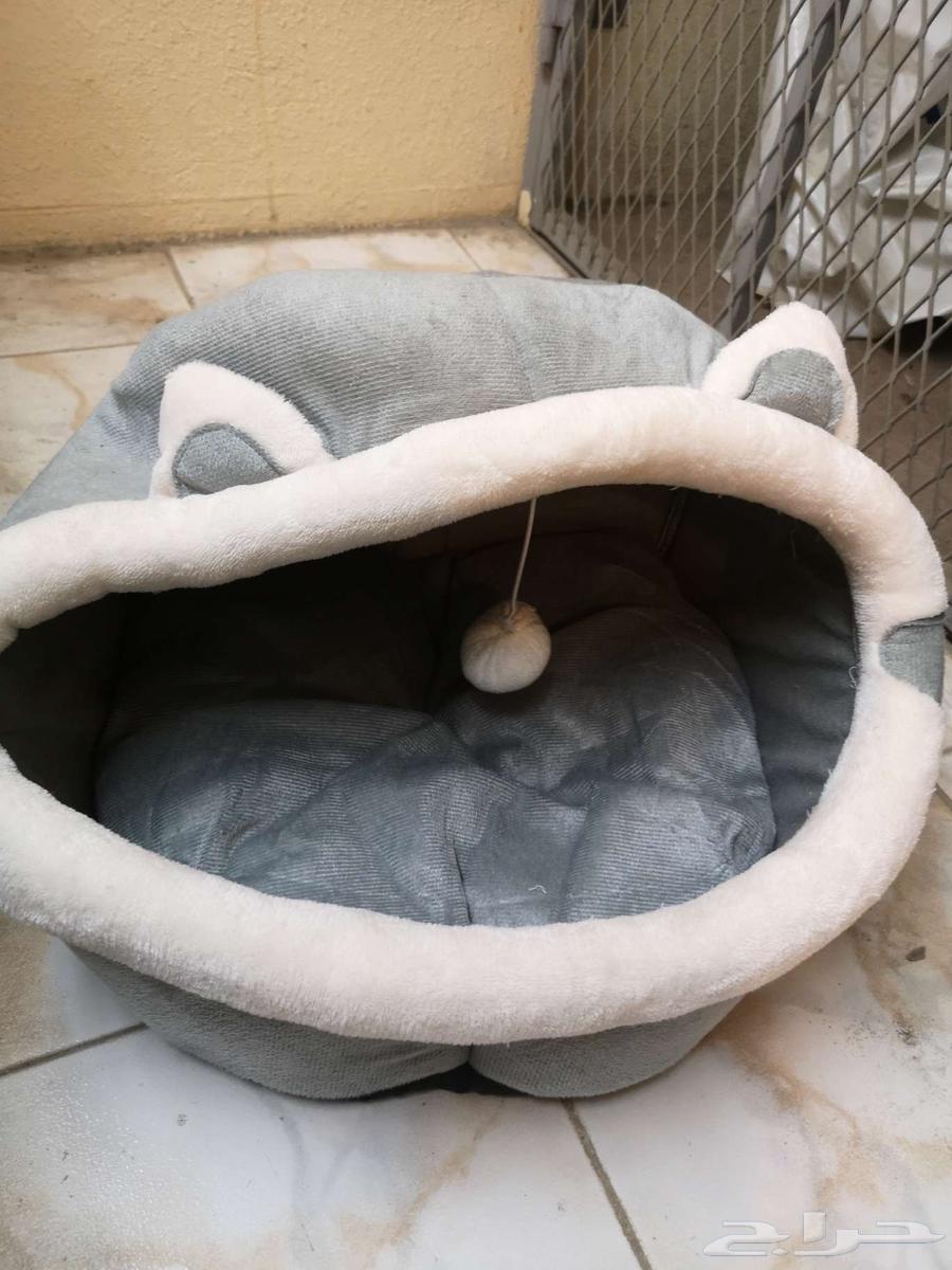 أغراض قطط شبه جديدة64528964616705114