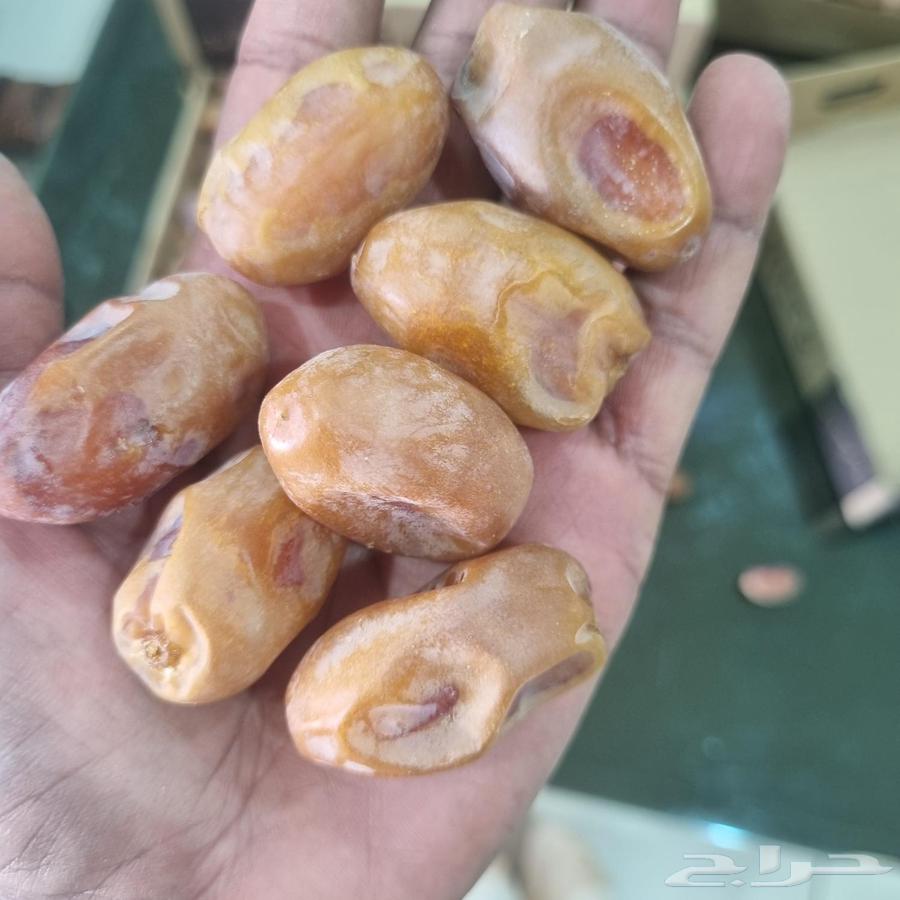 اخلاص فاخر64528507892227114