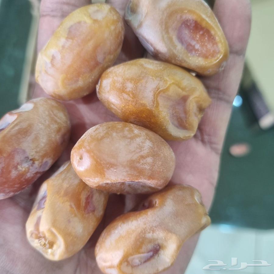 اخلاص فاخر64528507892227113