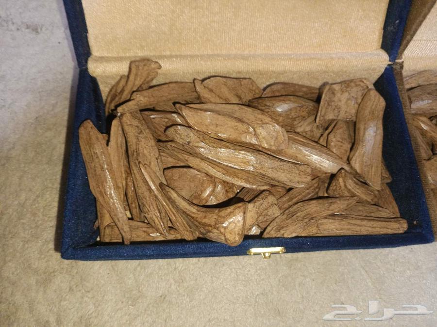 عود مروكي رقم واحد اصلي علبتين كيلو واحد السعر64533832291713110