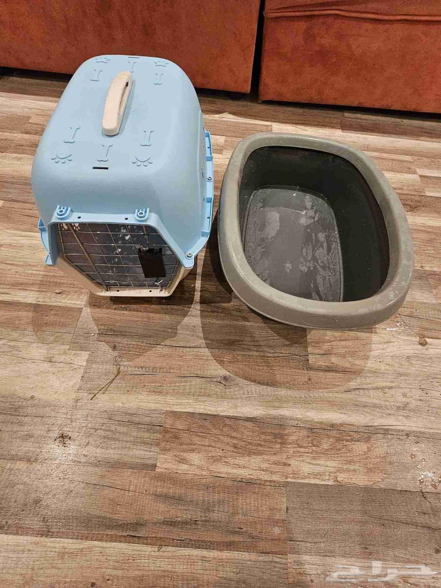 Litter Box - Cat Transport Box64534244689155110