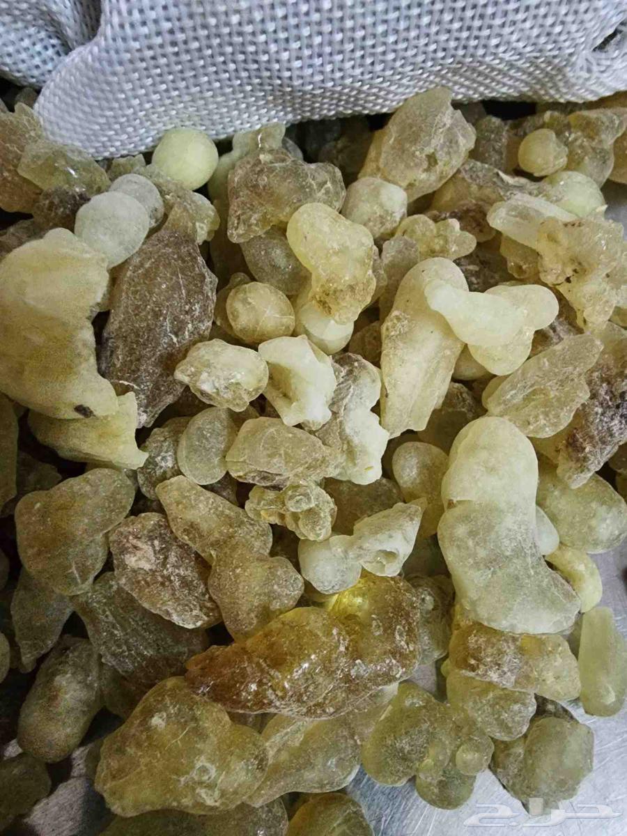 اللبان الذكر الحوجري الأصلي علاج64528153881217114