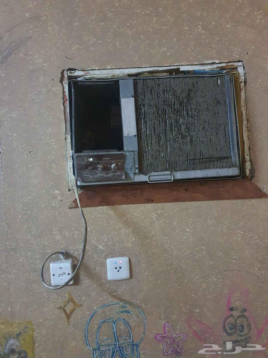 Al-Areidh64528695945218110