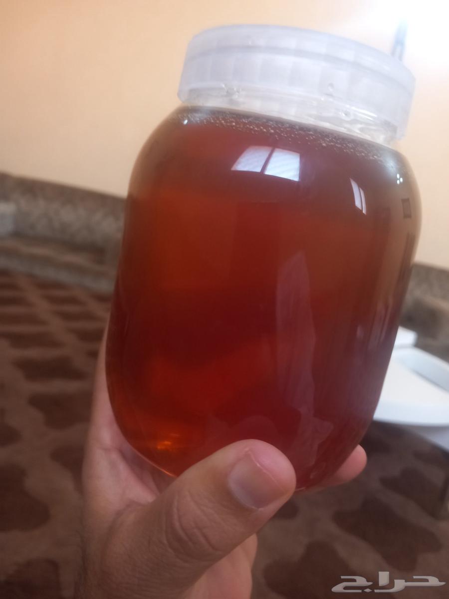عسل سدر اصلي من جنوب المملكه الكيلو ب 20064529966740993111