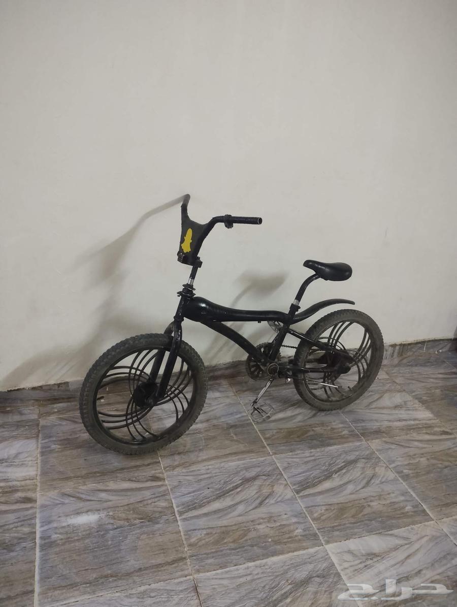 Cycle 20 for sale on Som, no damage sprayed64531167793538110