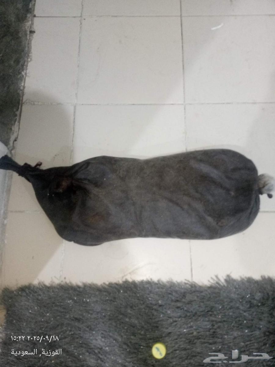 I'm showing you two boxes of ghee, one cow and one sheep64531096353793112